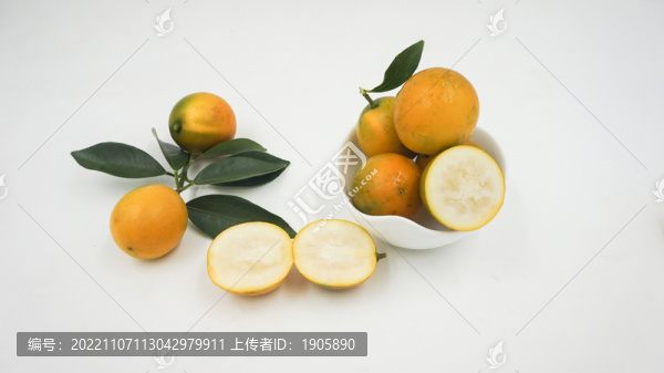 滑皮金桔