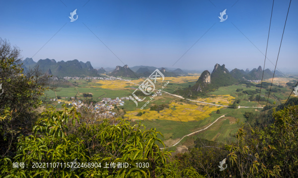 廣西鄉(xiāng)村農(nóng)村農(nóng)秋天秋景