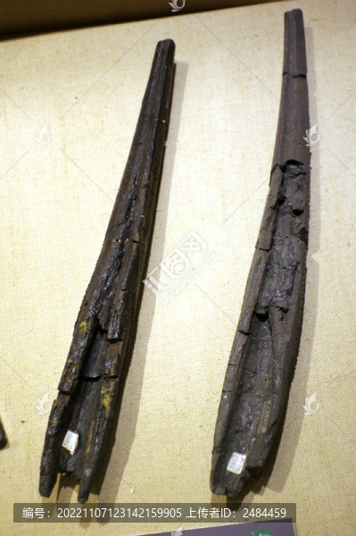 英國(guó)的棘魚(yú)化石