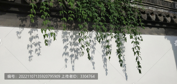 漆墻