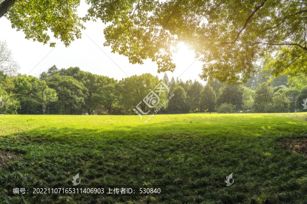城市公園園林景觀