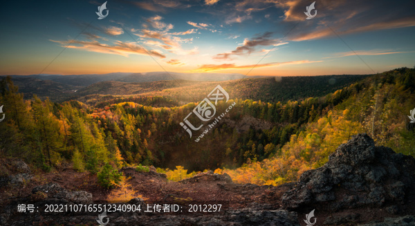 地下森林