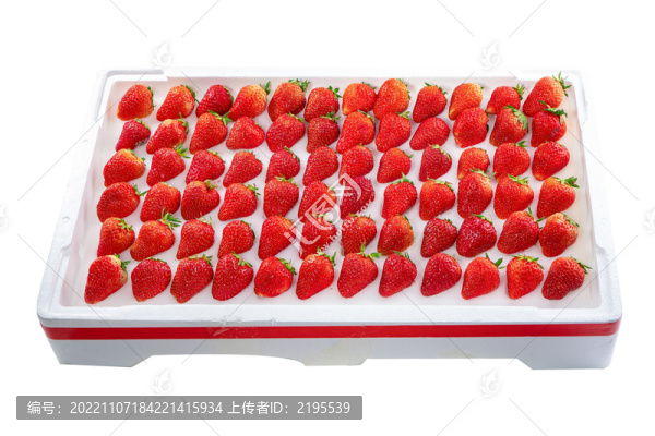 新鮮草莓