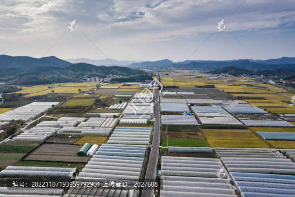 航拍浙江上虞張村秋日田園風(fēng)光