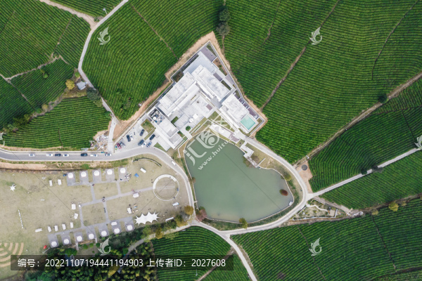 航拍茶園環(huán)繞的民宿