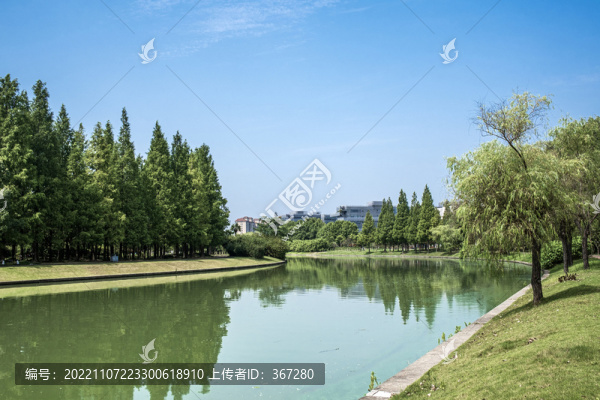 公園小河
