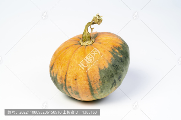 黃綠色小南瓜
