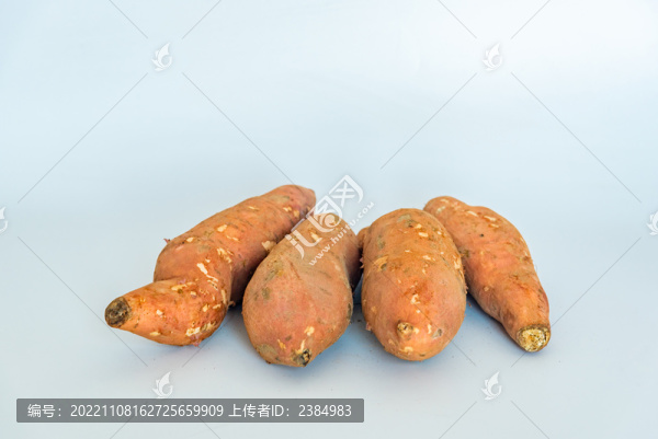 堆放的紅薯蜜薯