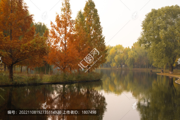 秋天風景