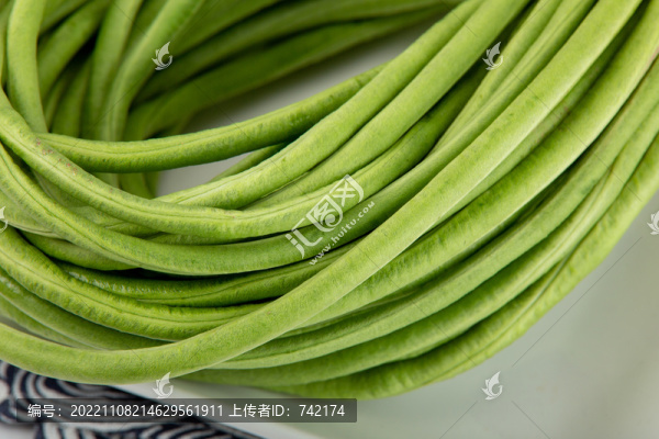 農產(chǎn)品蔬菜豆角豇豆
