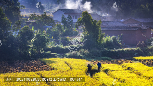 鄉(xiāng)村振興