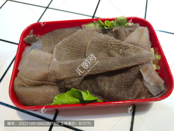 火鍋毛肚