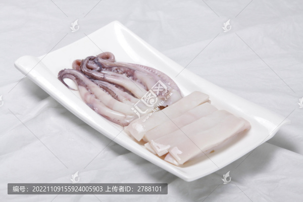 鮮魷魚