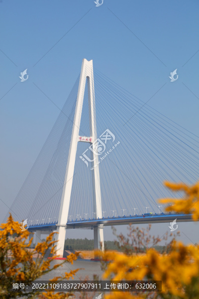 武漢青山長江大橋