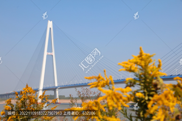 武漢青山長(zhǎng)江大橋