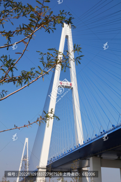武漢青山長江大橋