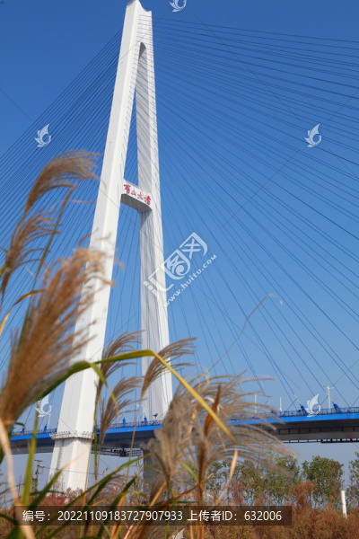 武漢青山長江大橋