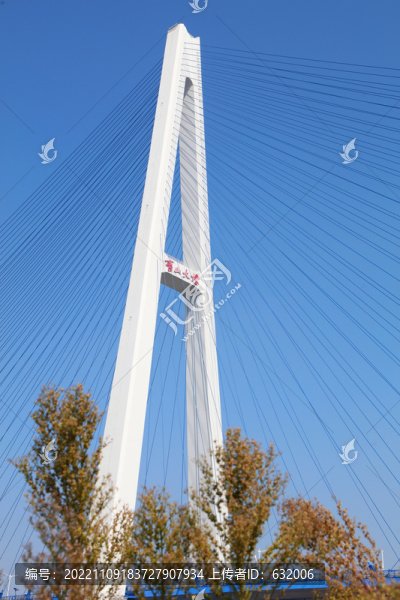 武漢青山長(zhǎng)江大橋