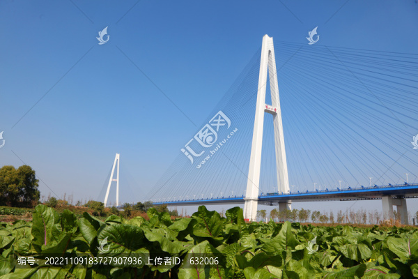 武漢青山長(zhǎng)江大橋