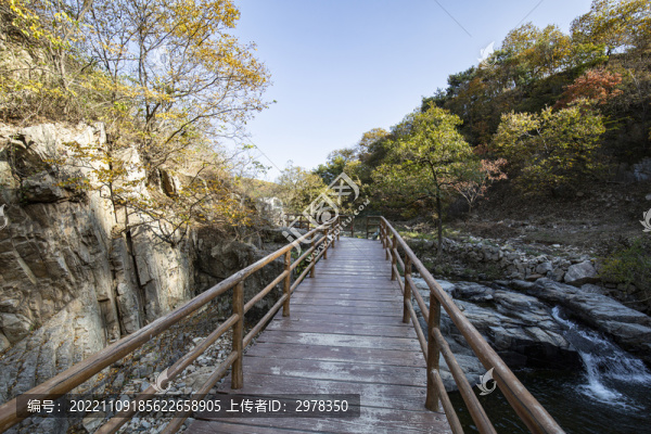 木棧道