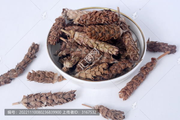 中草藥夏枯草