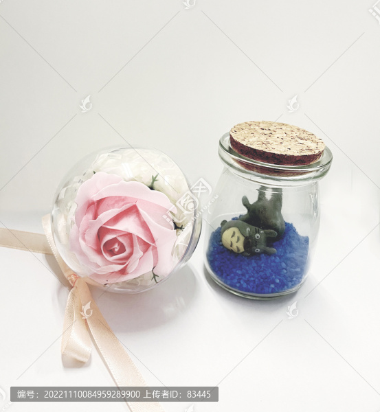 永生花許愿瓶龍貓小清新物件擺