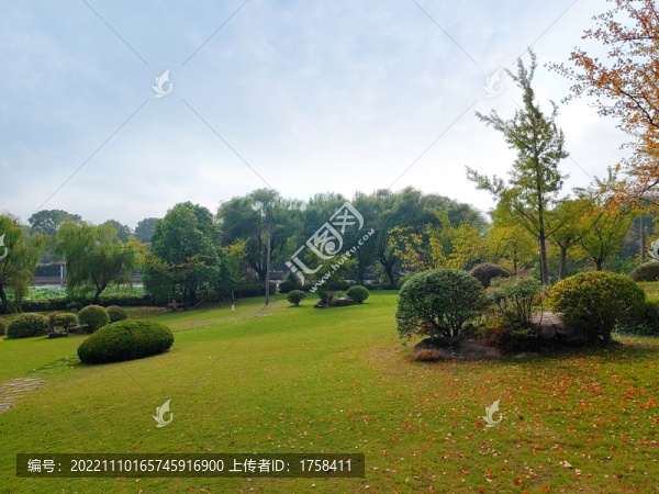 秋天落葉綠草地