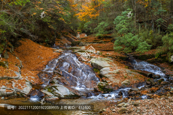 溪流紅葉秋景