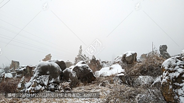 白雪降落奇石林