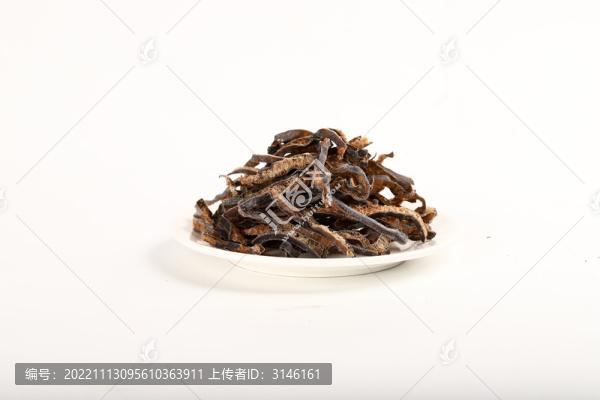海筍