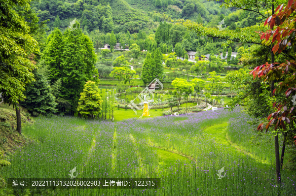 花溪谷
