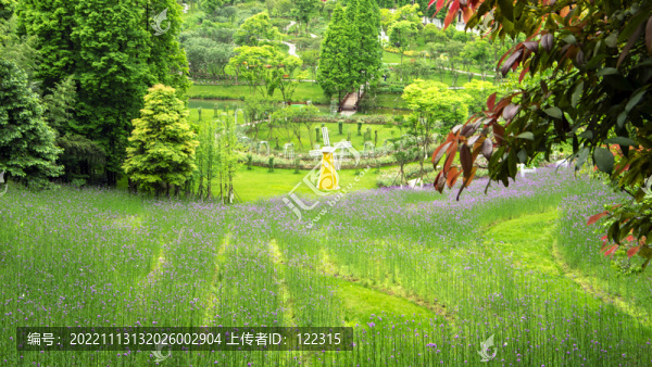 熏衣草與城堡