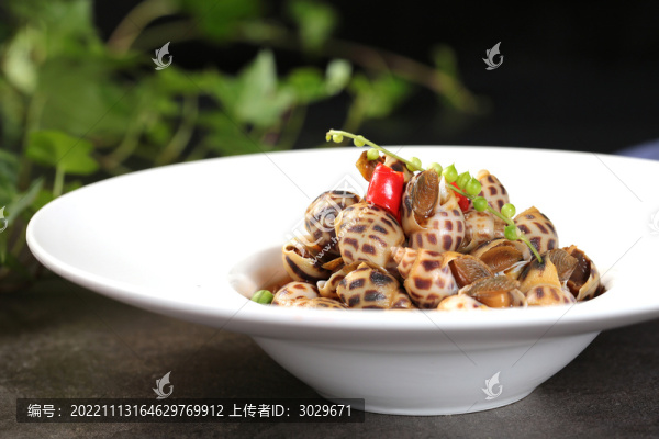 醉花螺