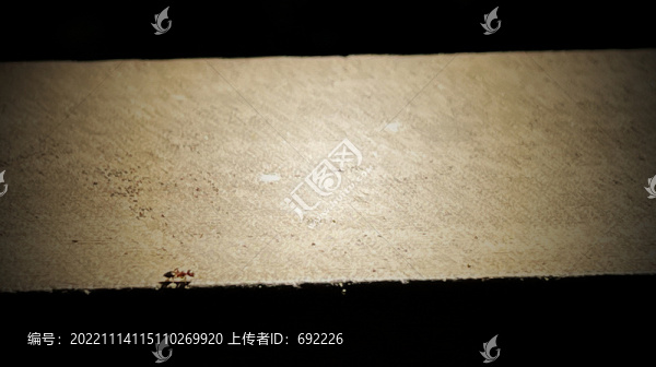 螞蟻