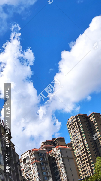 云朵