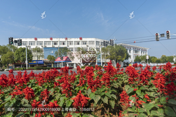 紅綠燈路口