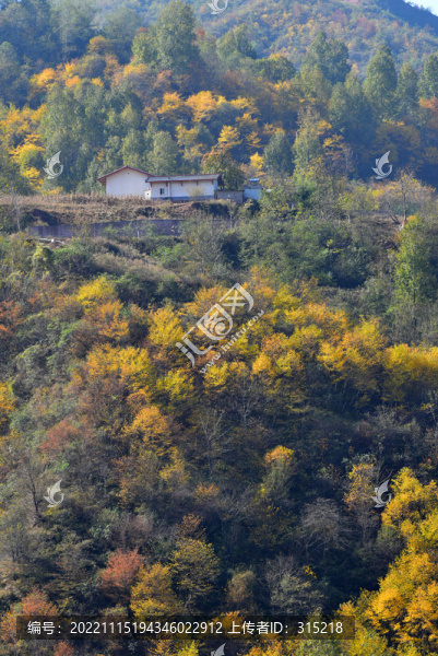 鄉(xiāng)村秋色