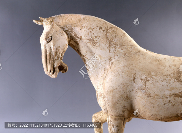 唐代陶馬