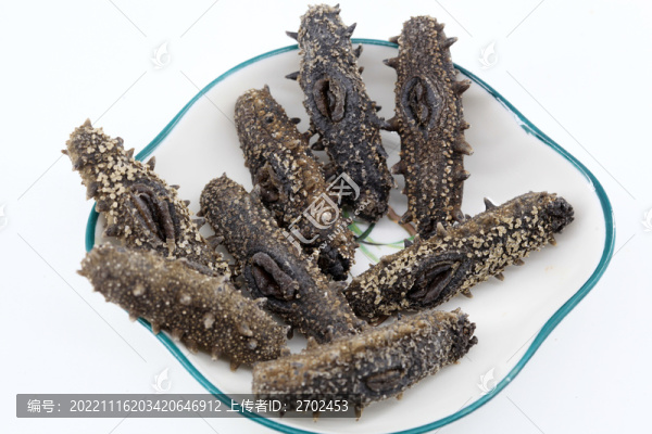 海參