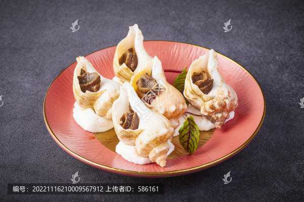 海螺