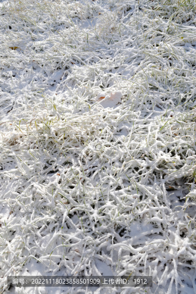 冬雪