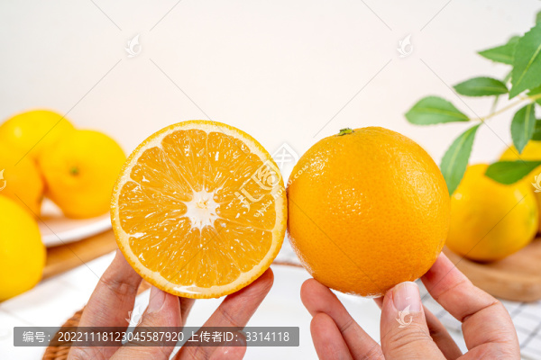 臍橙