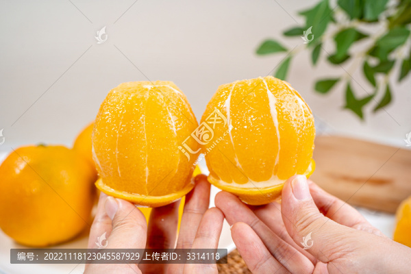 臍橙