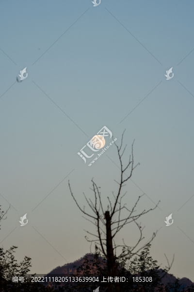 關(guān)山月
