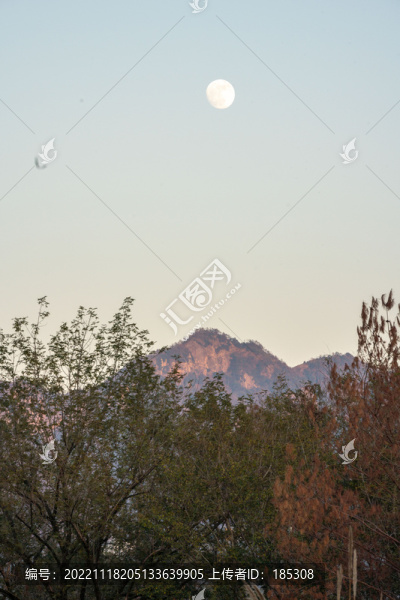 關山月