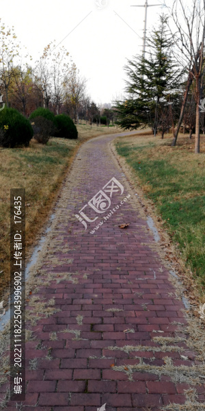 公園小路