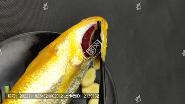大黃魚
