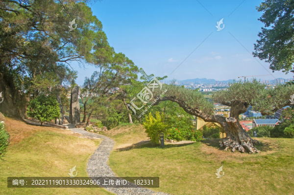 遠求園園林小徑