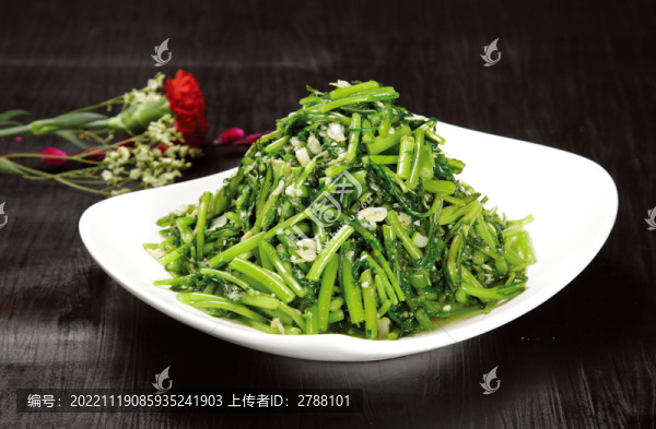 蝦皮茼蒿梗