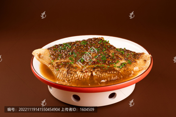 深海魚翅高清大圖